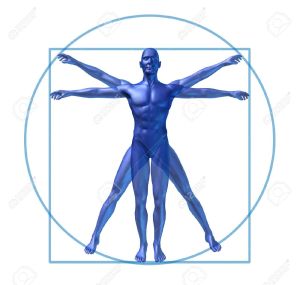 11718473-human-diagram-vitruvian-classic-man-Stock-Photo-body